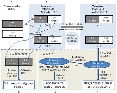 Circulating Levels of Interferon Regulatory Factor-5 Associates With Subgroups of Systemic Lupus Erythematosus Patients